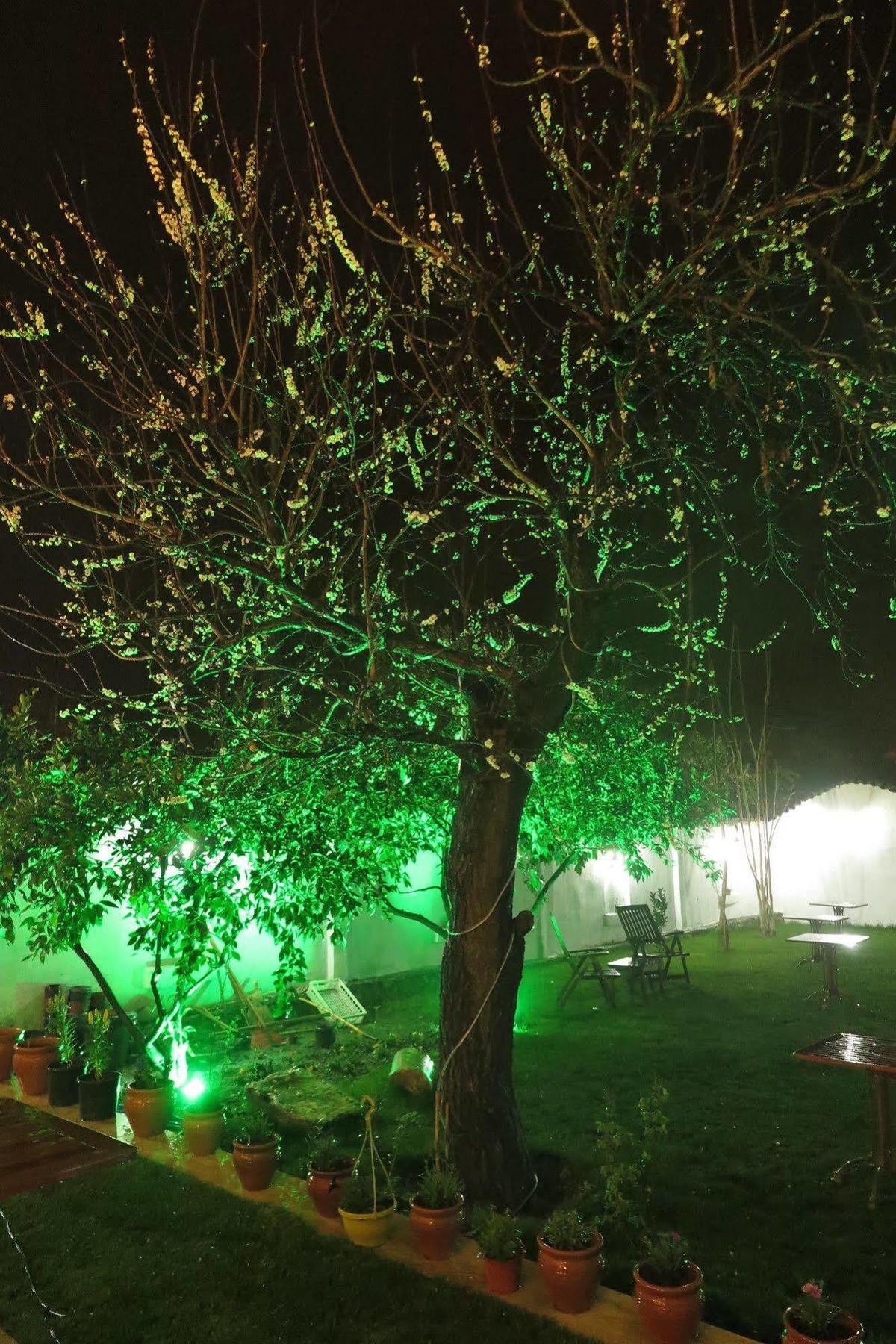 Ephesus Paradise Hotel Selçuk Ngoại thất bức ảnh