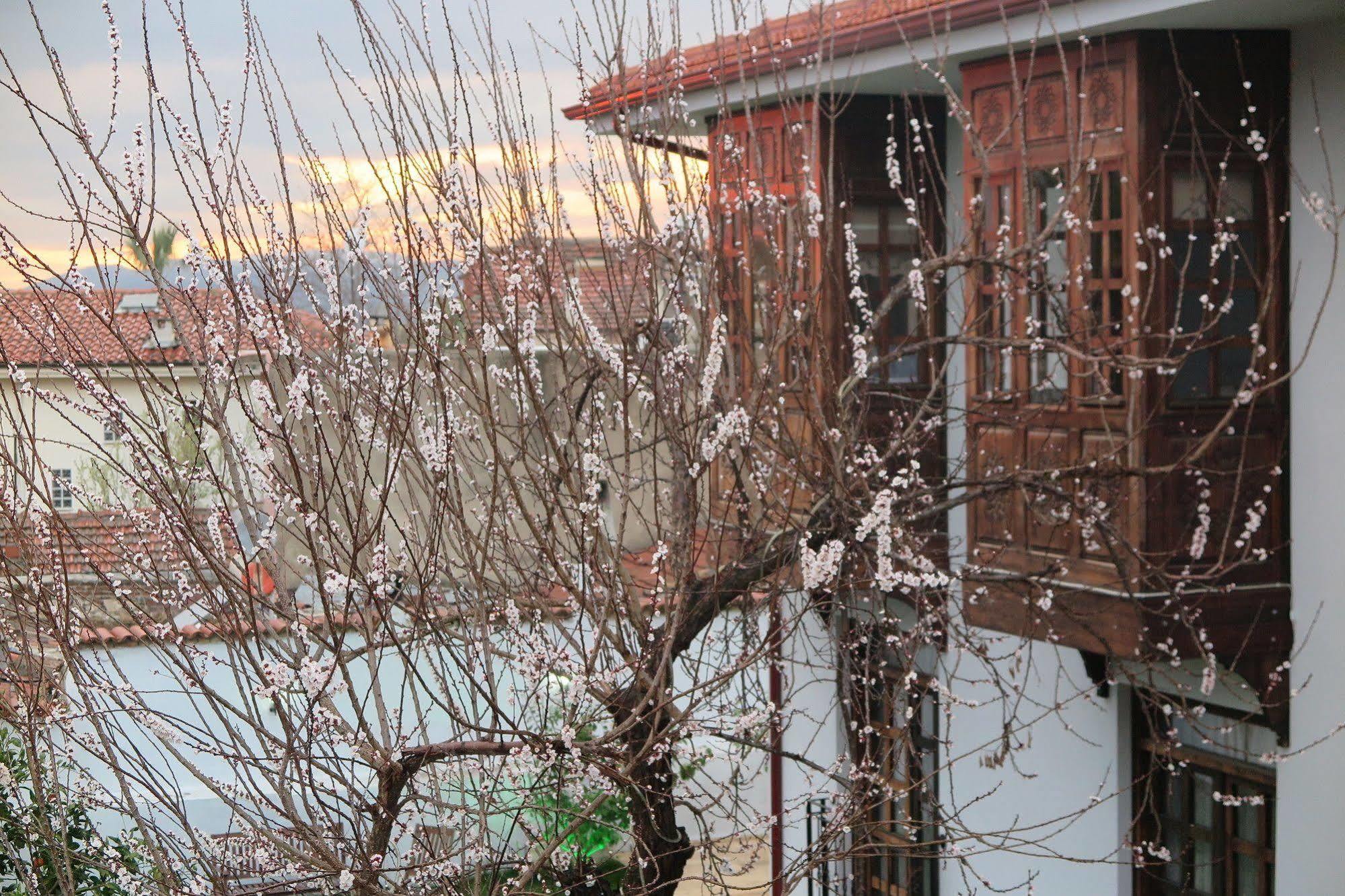 Ephesus Paradise Hotel Selçuk Ngoại thất bức ảnh